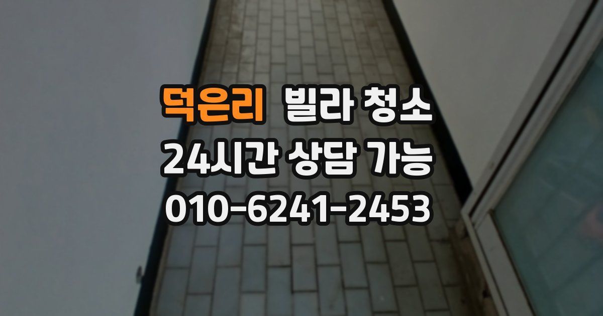 덕은리 빌라 청소