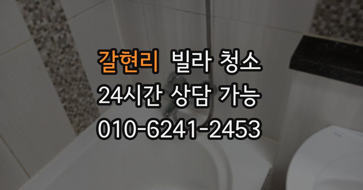 갈현리 빌라 청소