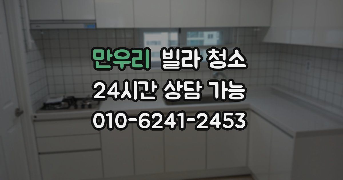 만우리 빌라 청소