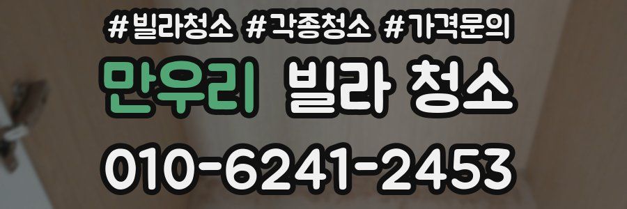 만우리 빌라 청소
