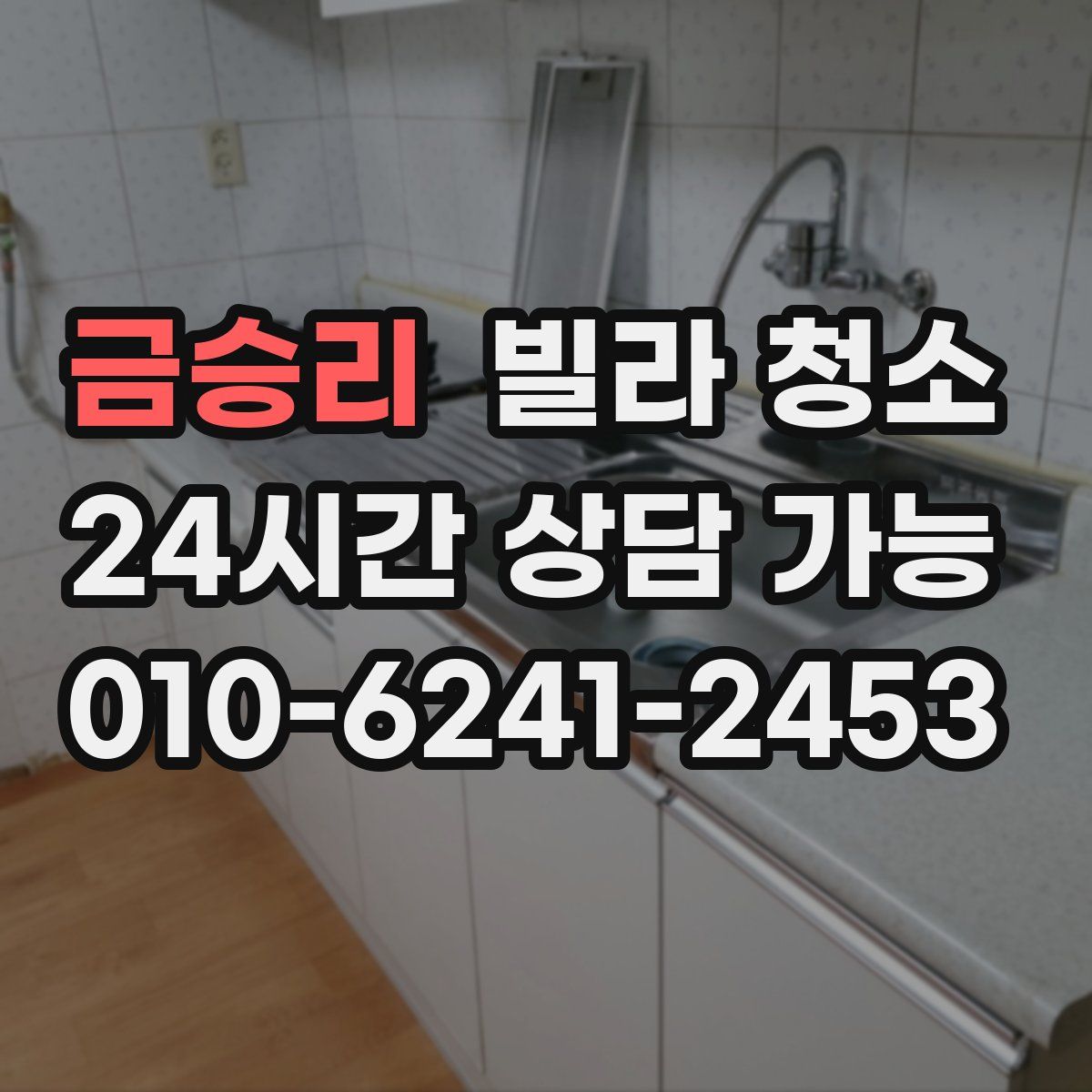 금승리 빌라 청소