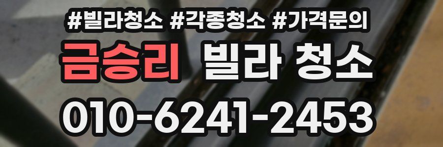 금승리 빌라 청소