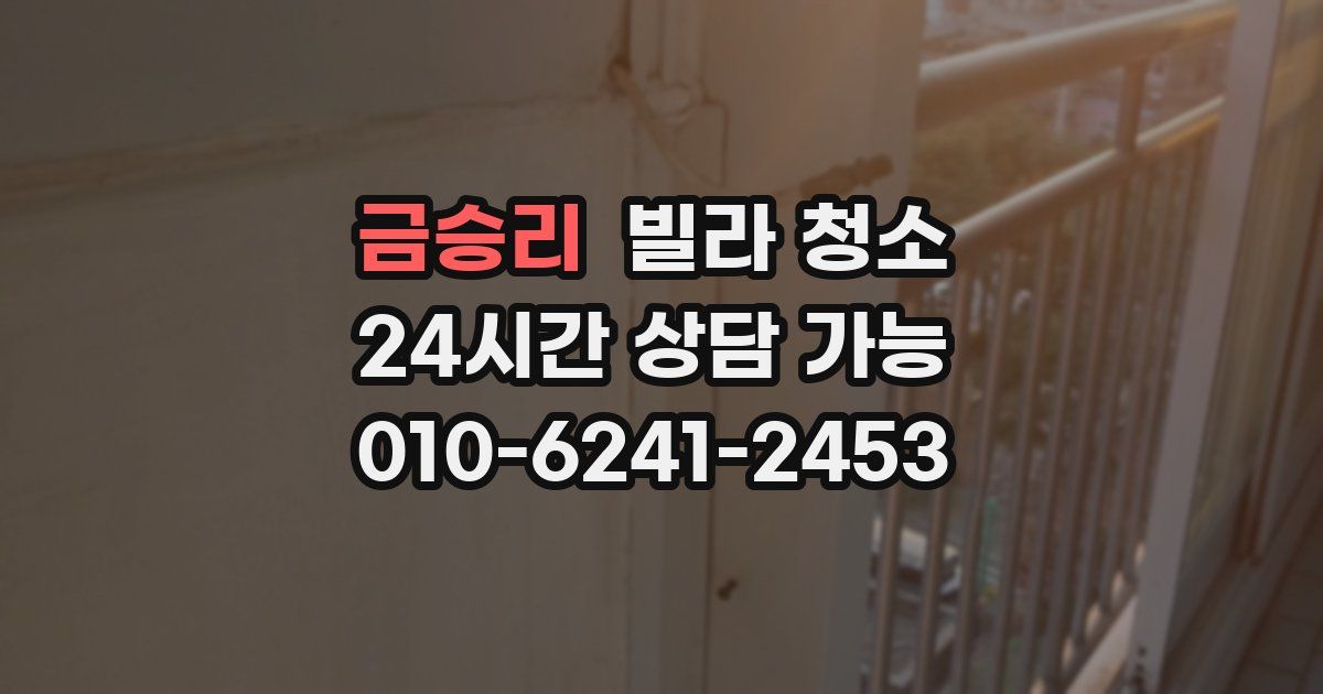 금승리 빌라 청소