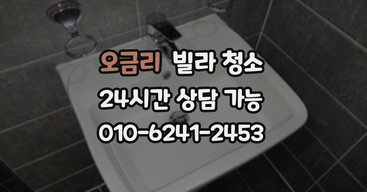 오금리 빌라 청소