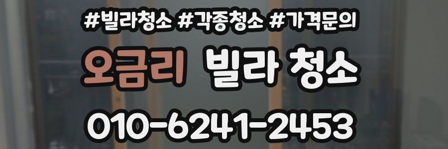 오금리 빌라 청소