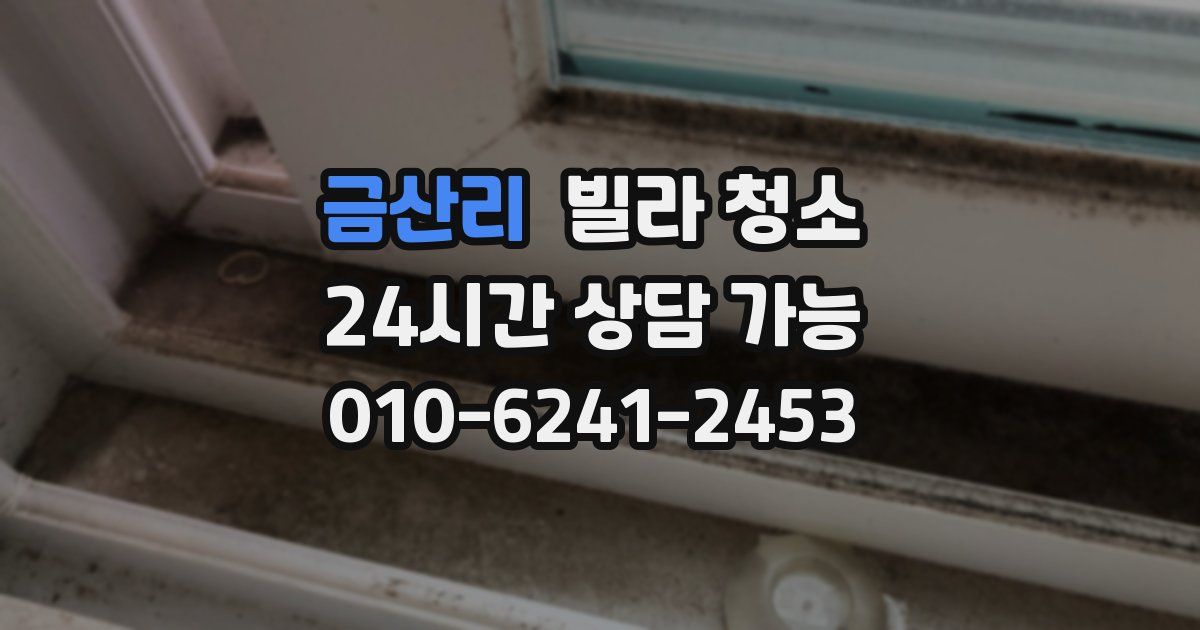 금산리 빌라 청소