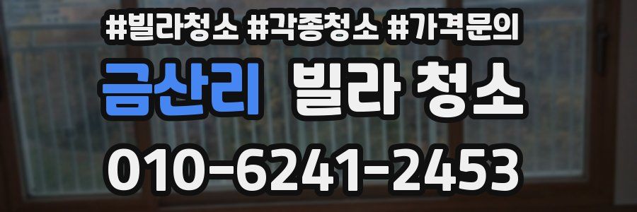 금산리 빌라 청소