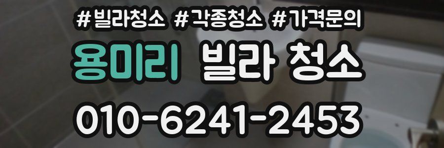 용미리 빌라 청소