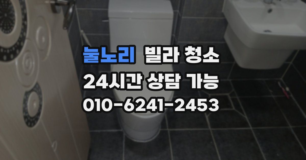 눌노리 빌라 청소
