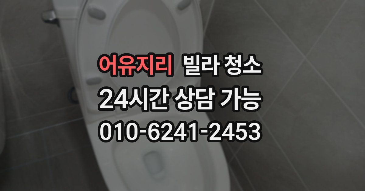 어유지리 빌라 청소