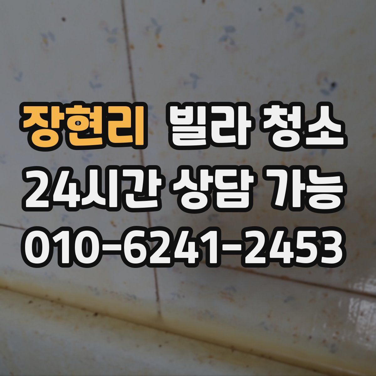 장현리 빌라 청소