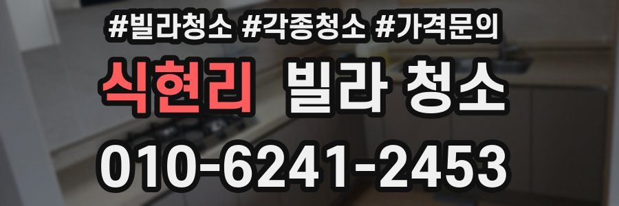 식현리 빌라 청소