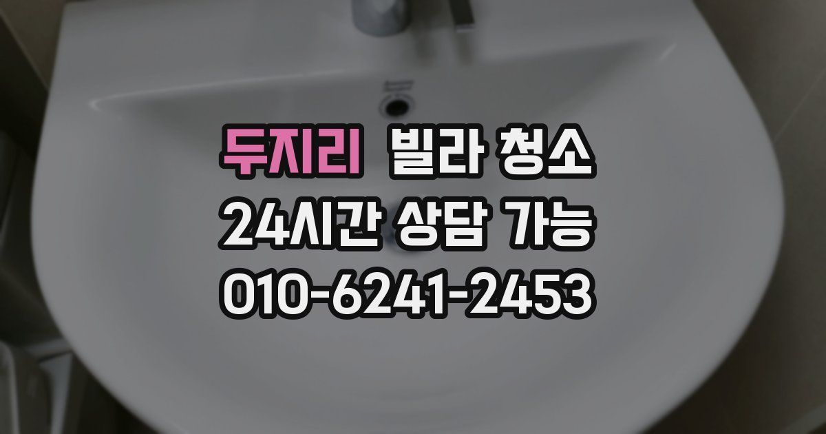 두지리 빌라 청소