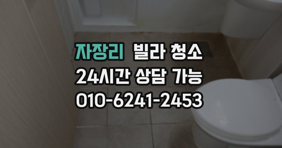 자장리 빌라 청소