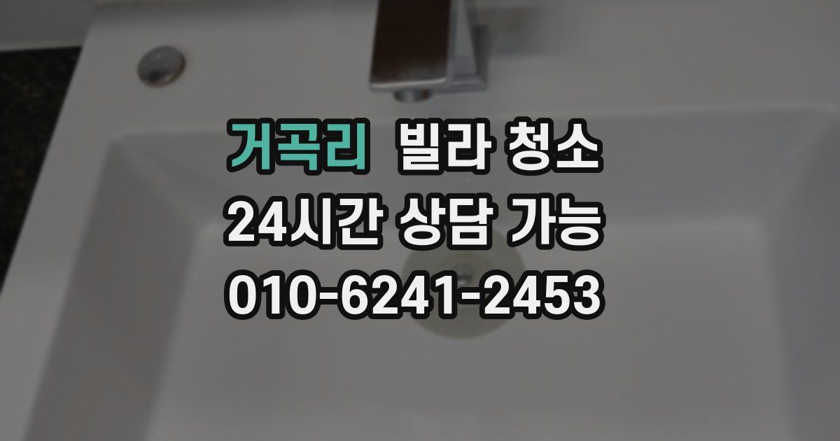 거곡리 빌라 청소