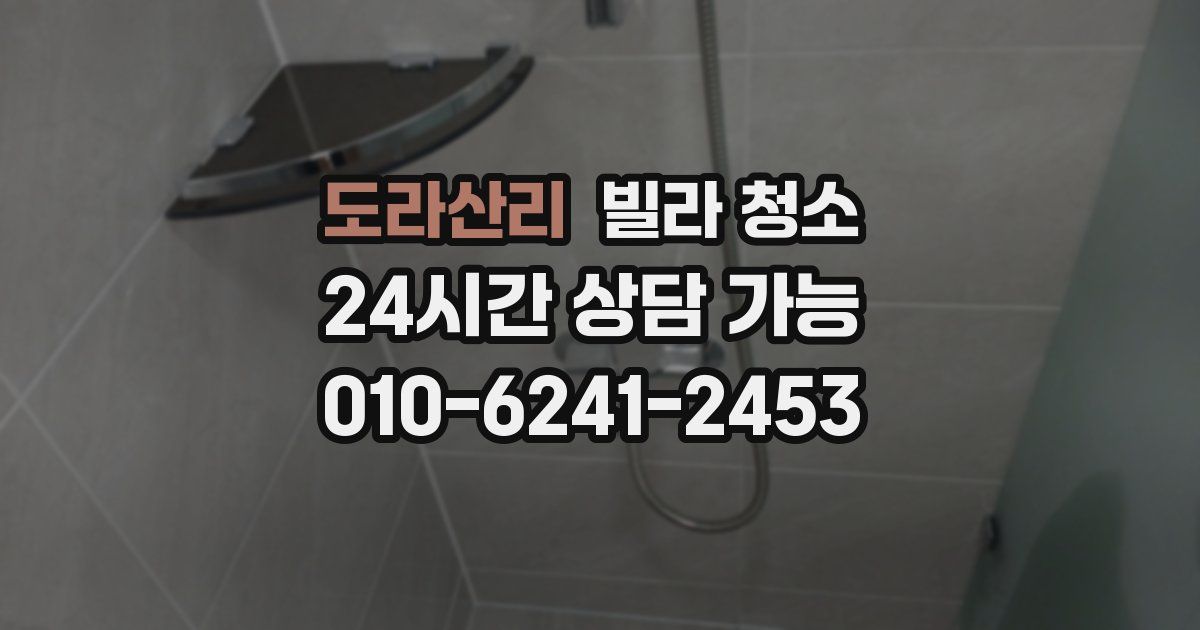 도라산리 빌라 청소