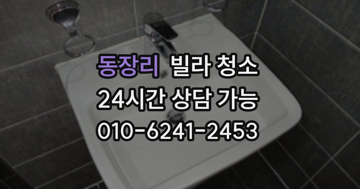 동장리 빌라 청소