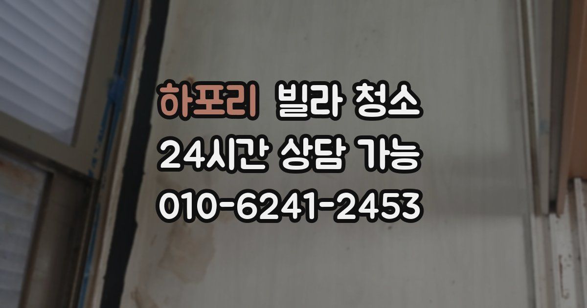 하포리 빌라 청소