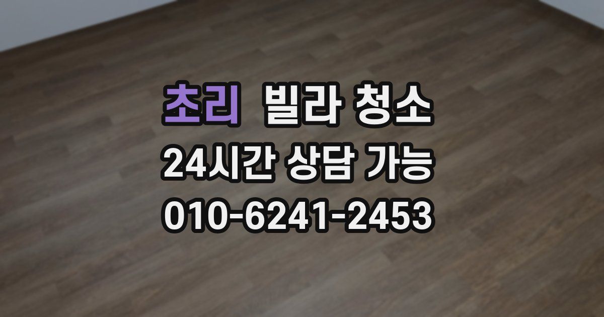 초리 빌라 청소