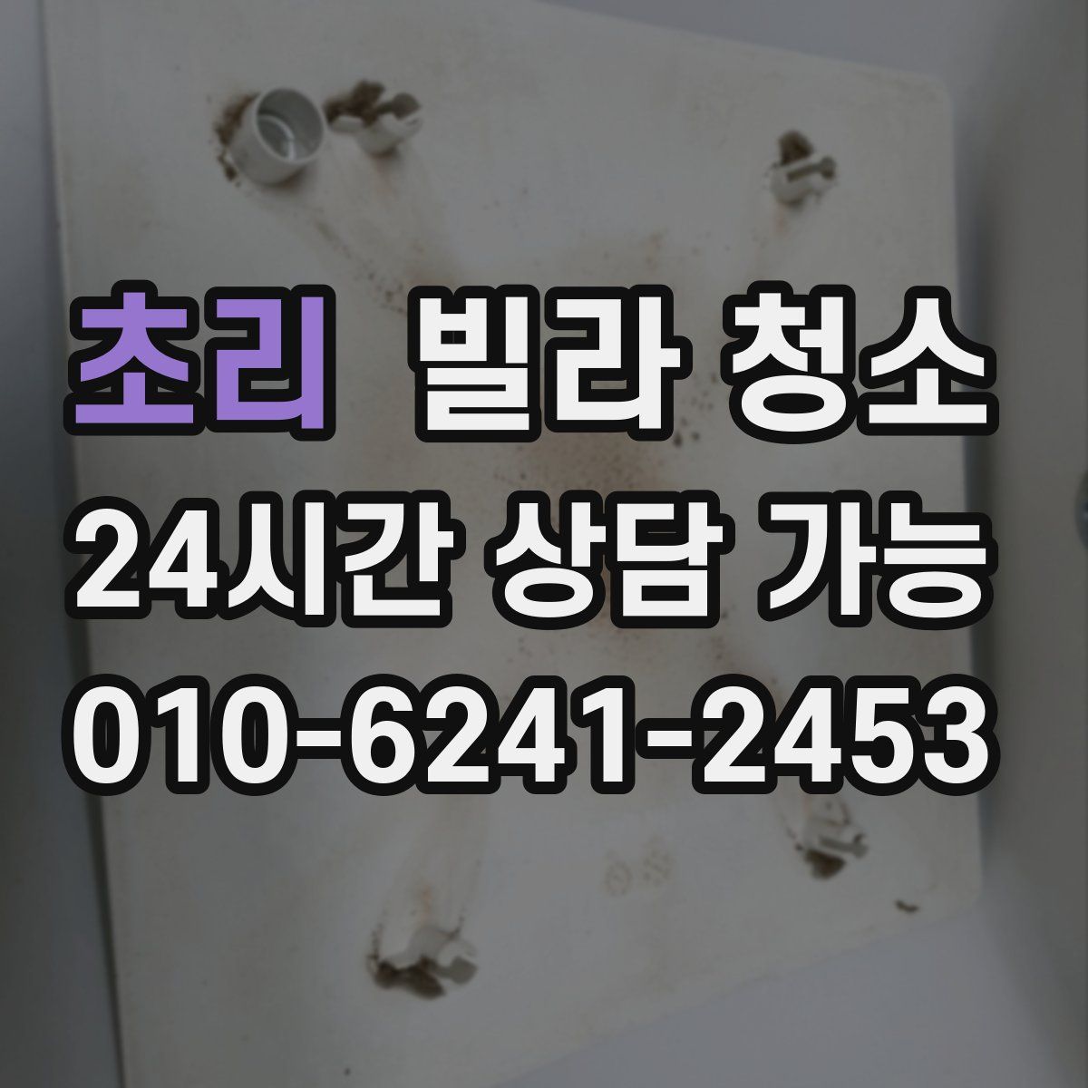 초리 빌라 청소