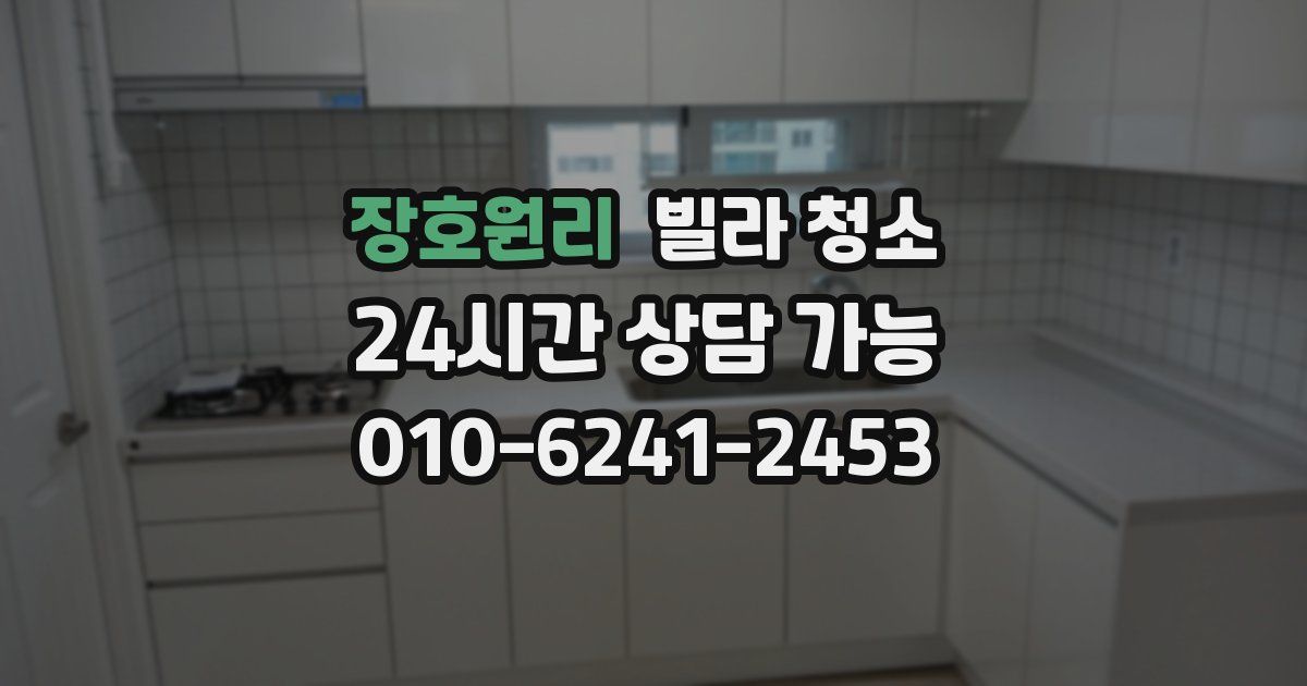 장호원리 빌라 청소