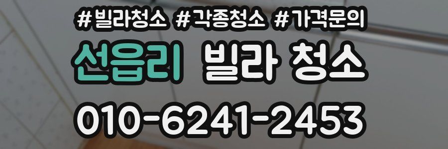 선읍리 빌라 청소