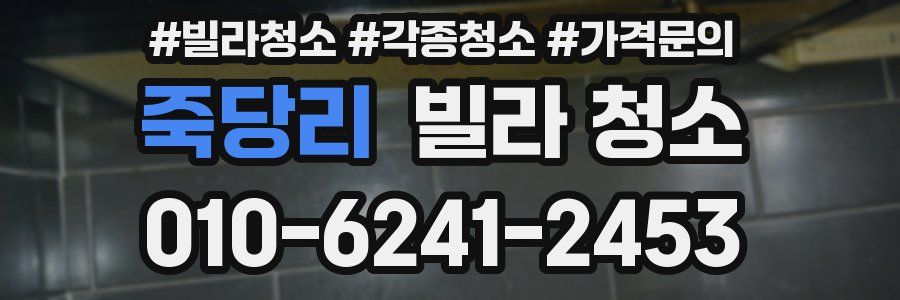 죽당리 빌라 청소