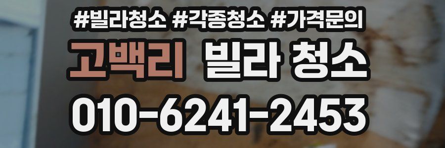 고백리 빌라 청소