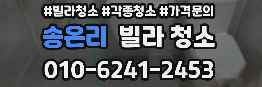 송온리 빌라 청소