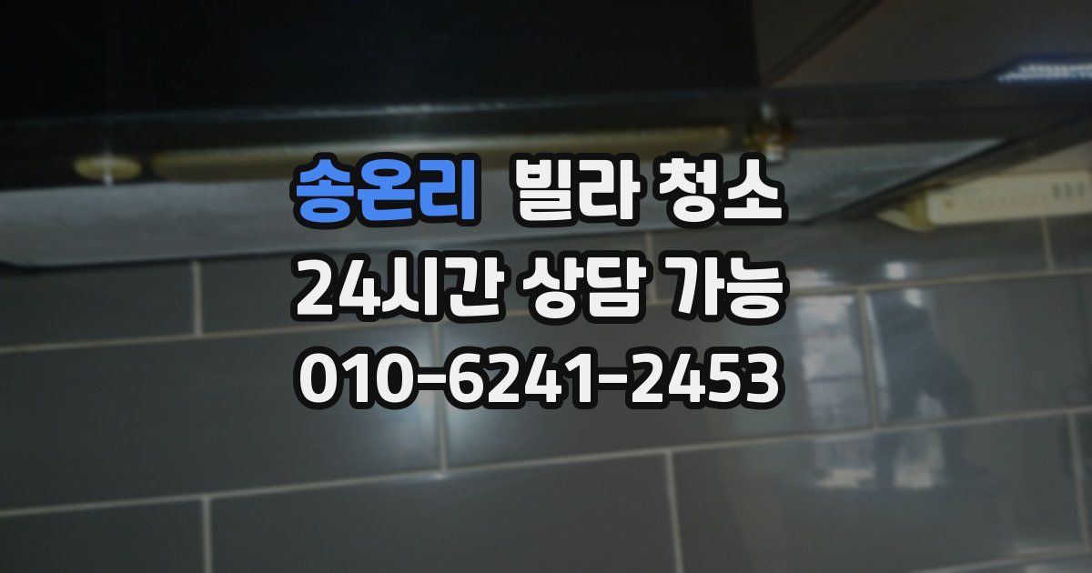 송온리 빌라 청소