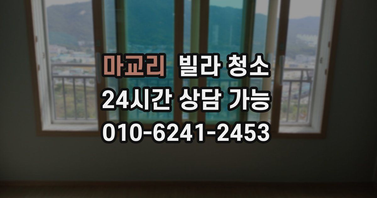 마교리 빌라 청소