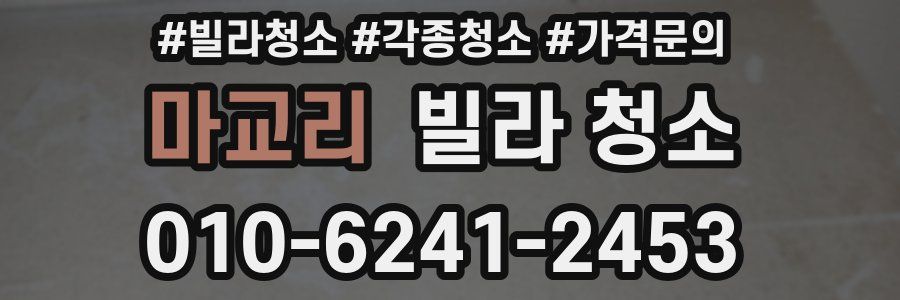마교리 빌라 청소