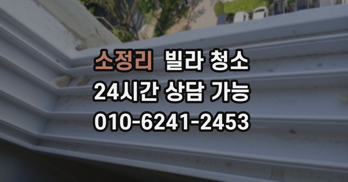소정리 빌라 청소