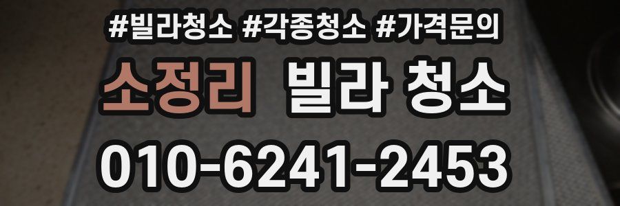 소정리 빌라 청소