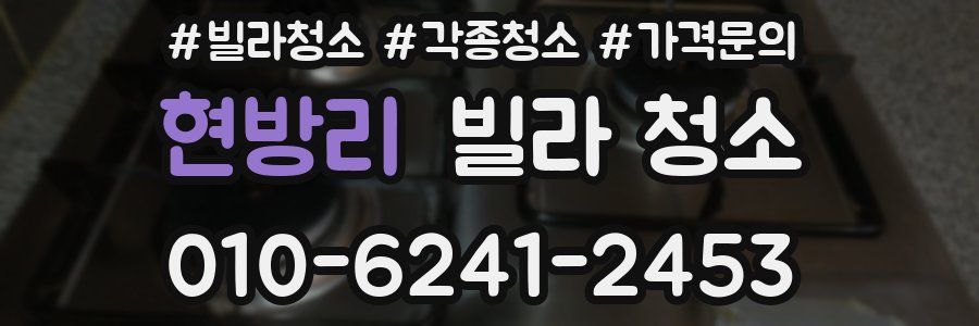 현방리 빌라 청소