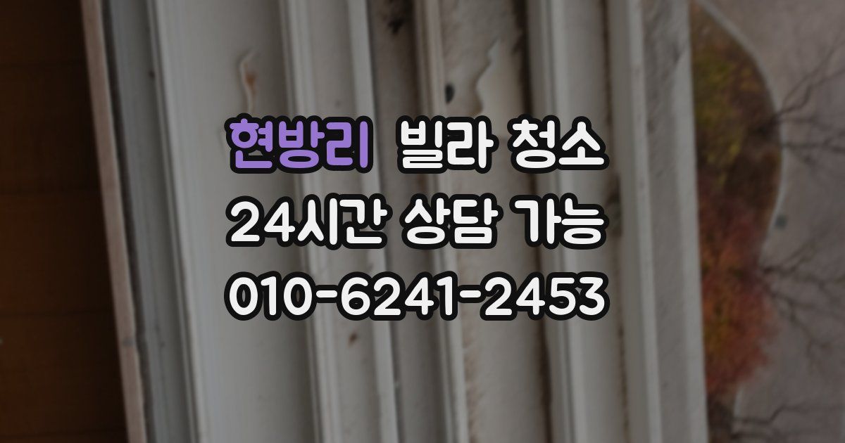 현방리 빌라 청소