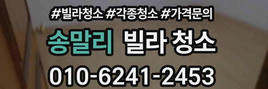 송말리 빌라 청소