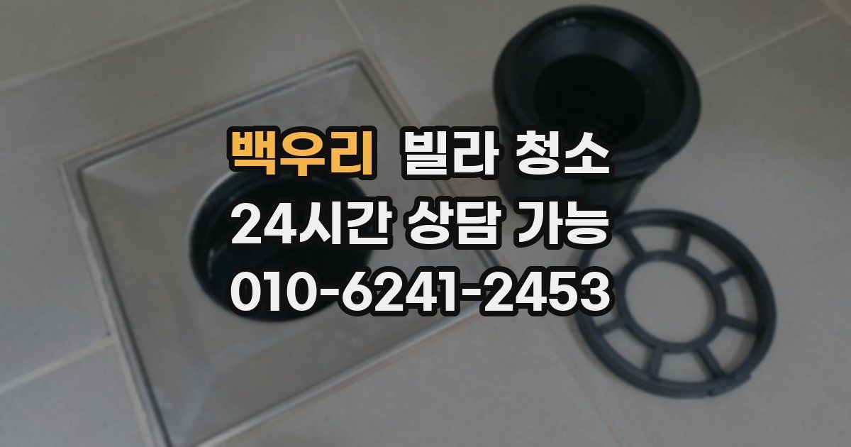 백우리 빌라 청소