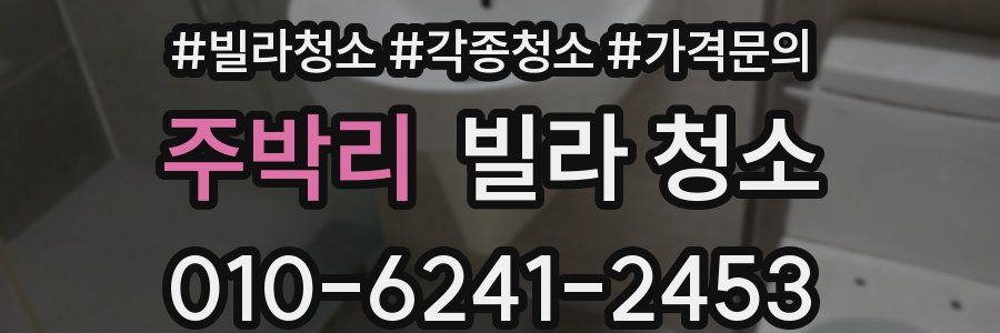 주박리 빌라 청소