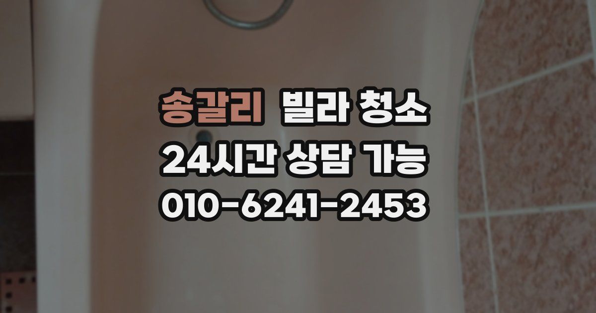 송갈리 빌라 청소