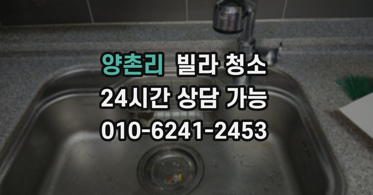 양촌리 빌라 청소