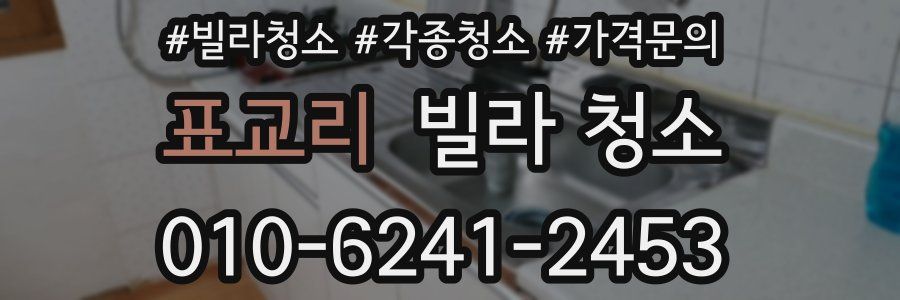 표교리 빌라 청소