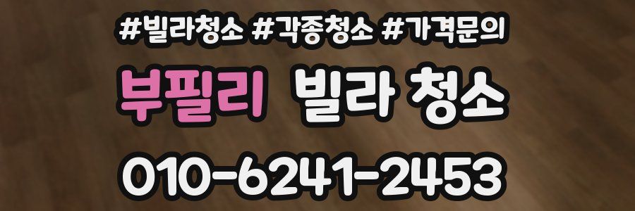 부필리 빌라 청소