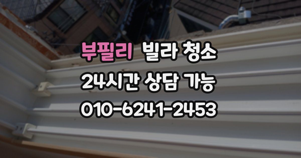 부필리 빌라 청소