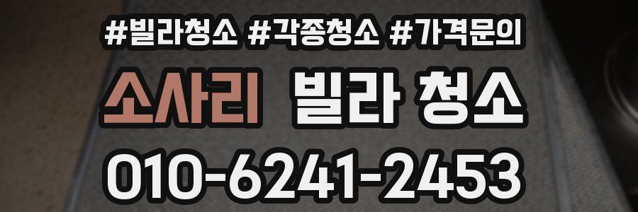 소사리 빌라 청소