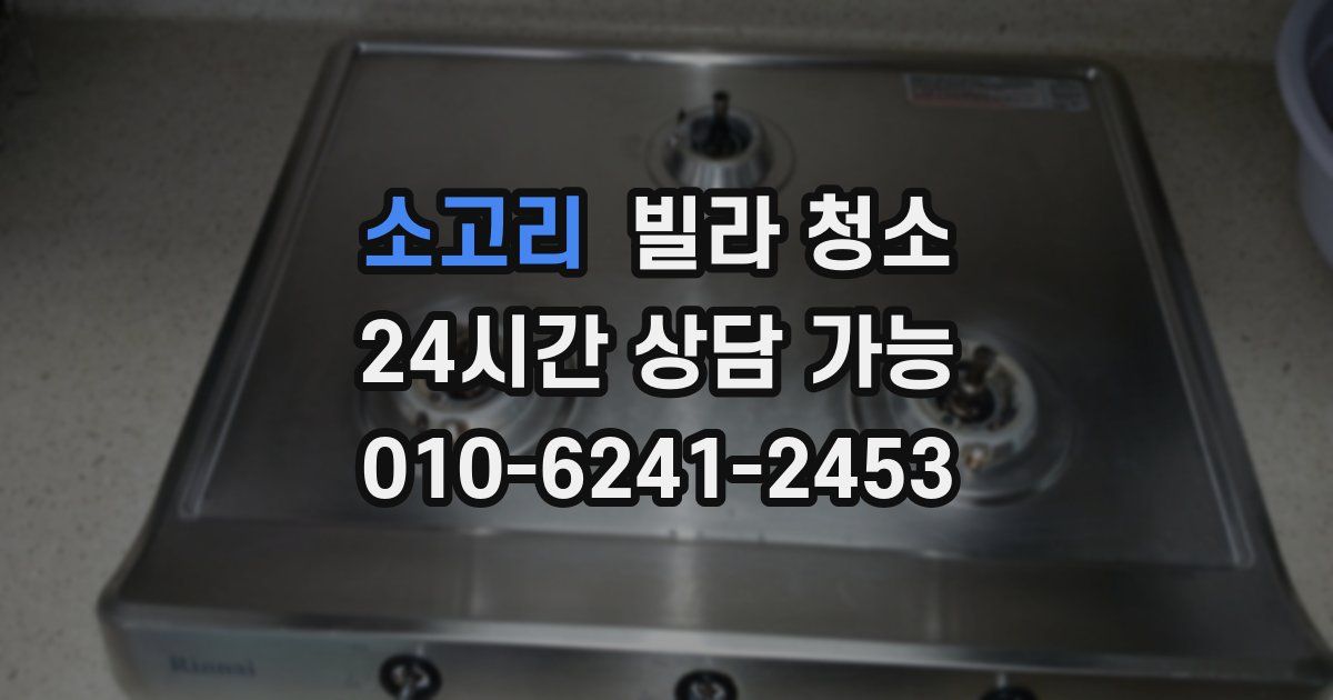 소고리 빌라 청소