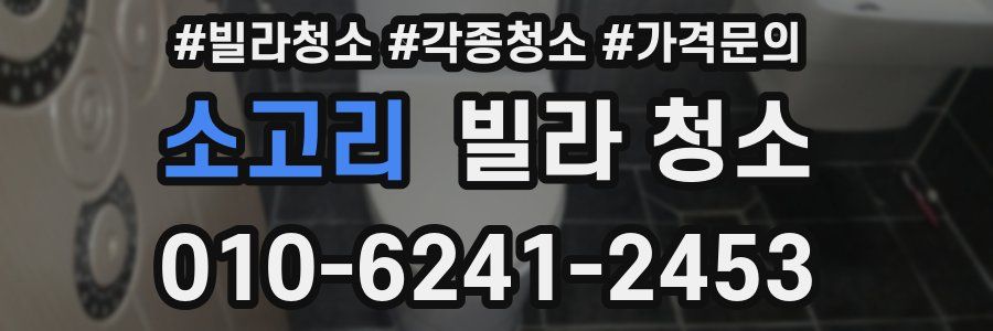 소고리 빌라 청소