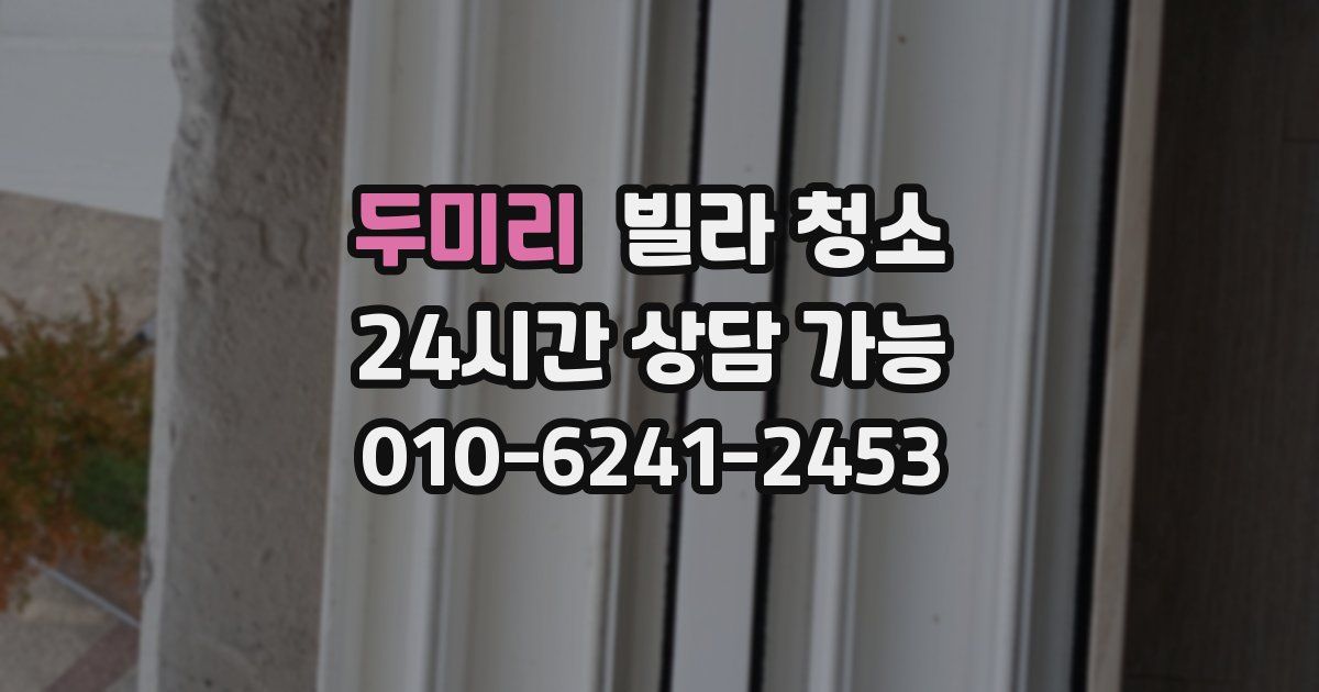 두미리 빌라 청소