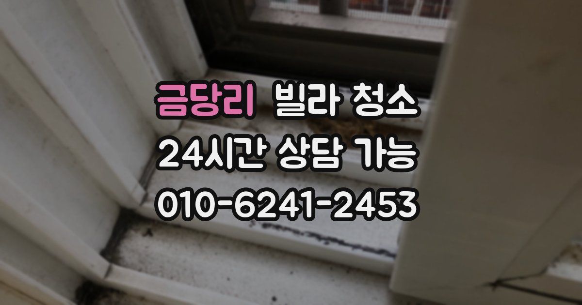 금당리 빌라 청소