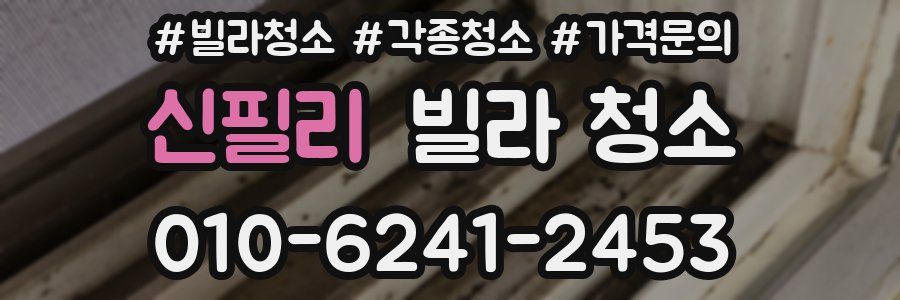 신필리 빌라 청소